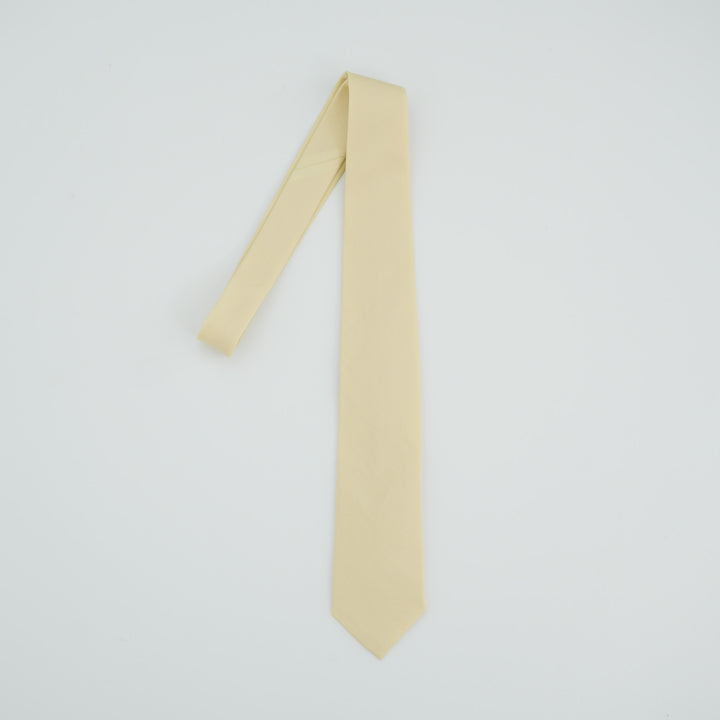 26SS】AURALEE WASHED FINX TWILL TIE – Chum!