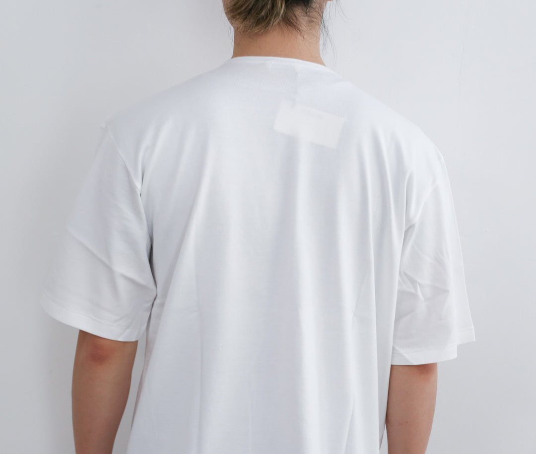 AURALEE LUSTER PLAITING BOAT NECK TEE 